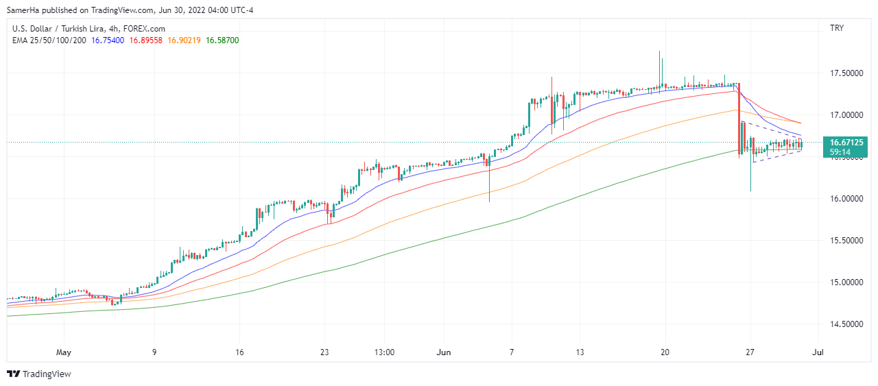 عرب بيرغ | Arab Berg | Arabberg | الليرة التركية | سعر الليرة التركية