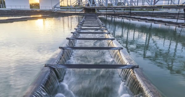 عرب بيرغ | Arab Berg | Arabberg | سوق الاسهم | الاسهم الامريكية