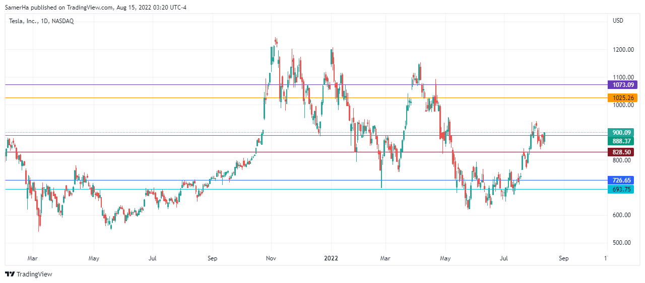 عرب بيرغ | Arab Berg | Arabberg | سوق الاسهم | سهم تسلا