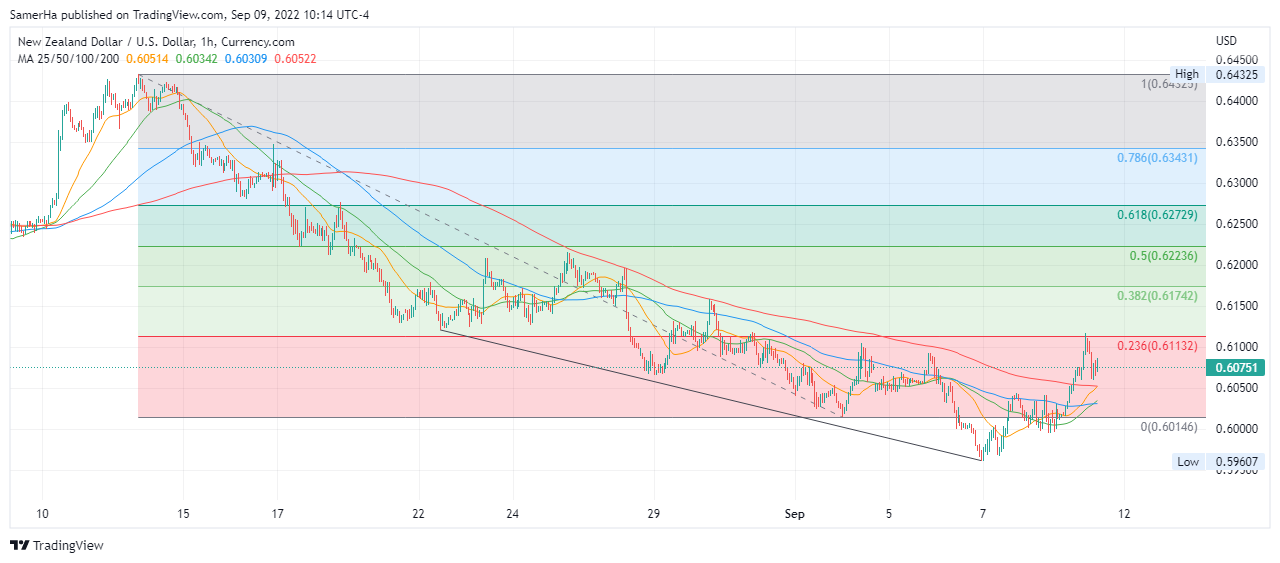 عرب بيرغ | Arab Berg | Arabberg | الدولار النيوزلندي | سعر الدولار النيوزلندي 