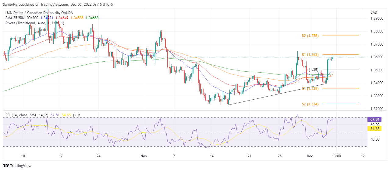عرب بيرغ | Arab Berg | Arabberg | الدولار الكندي | سعر الدولار الكندي