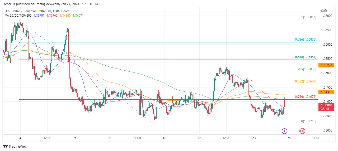 عرب بيرغ | Arab Berg | Arabberg | الدولار الكندي | سعر الدولار الكندي