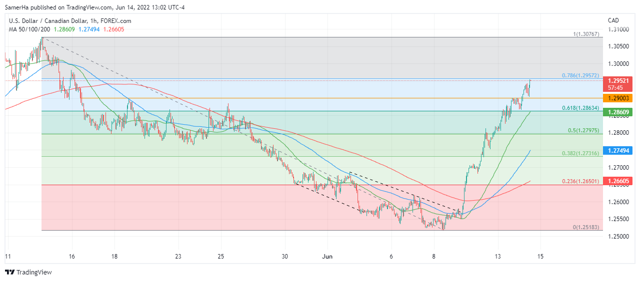 عرب بيرغ | Arab Berg | Arabberg | الدولار الكندي | سعر الدولار الكندي