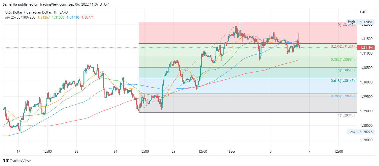 عرب بيرغ | Arab Berg | Arabberg | الدولار الكندي | سعر الدولار الكندي