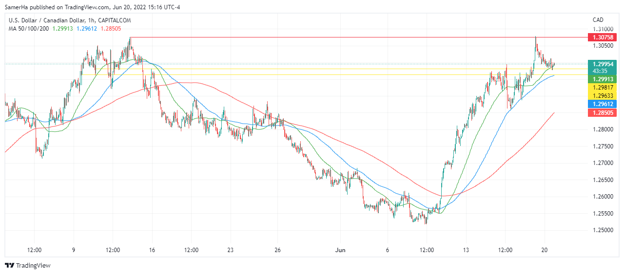 عرب بيرغ | Arab Berg | Arabberg | الدولار الكندي | سعر الدولار الكندي