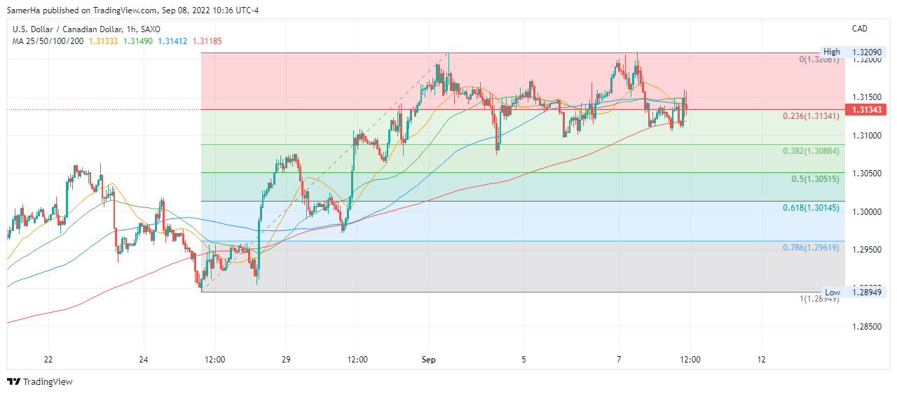 عرب بيرغ | Arab Berg | Arabberg | الدولار الكندي | سعر الدولار الكندي