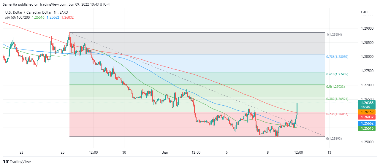 عرب بيرغ | Arab Berg | Arabberg | الدولار الكندي | سعر الدولار الكندي
