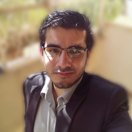سامر حسن